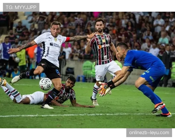 南美足球新赛季战火重燃,各队阵容调整引关注 南美足球新赛季战火重燃,各队阵容调整引关注