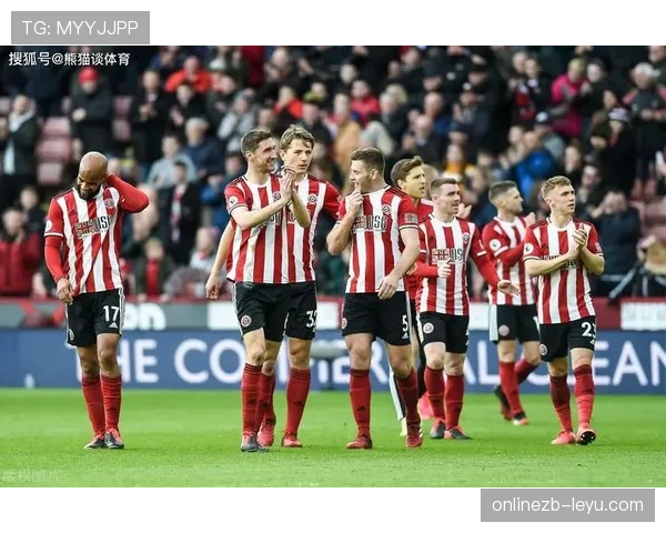 谢菲联新星闪耀赛场,状态回升助力球队迈向新辉煌 谢菲联新星闪耀赛场,状态回升助力球队迈向新辉煌