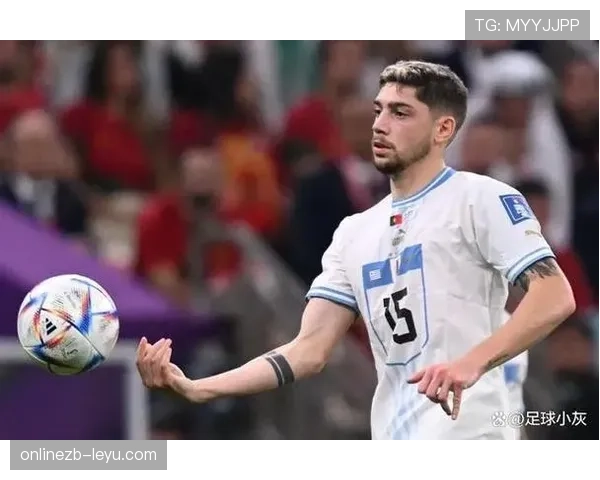 巴尔韦德：世界杯与美洲杯主力身份解析