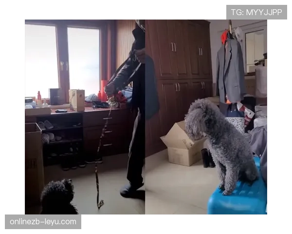 王燊超训练完直接蹲路边啃烧饼，这自律和接地气反差谁懂啊