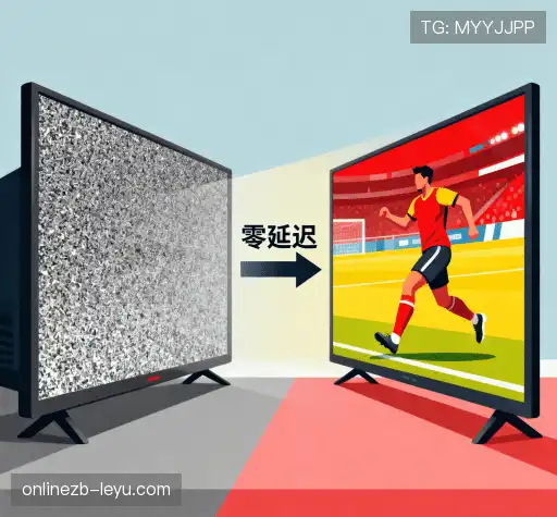 为什么与我们合作